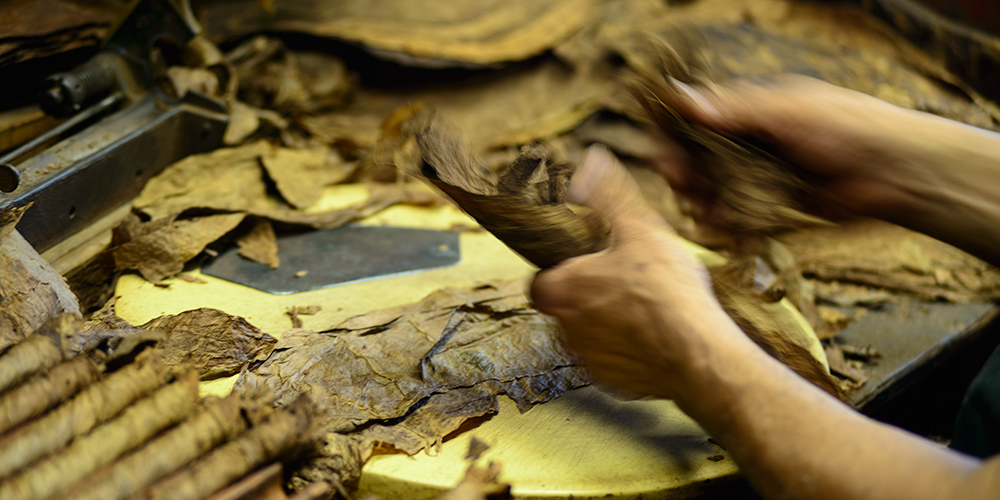 Making Cigars in New Orleans