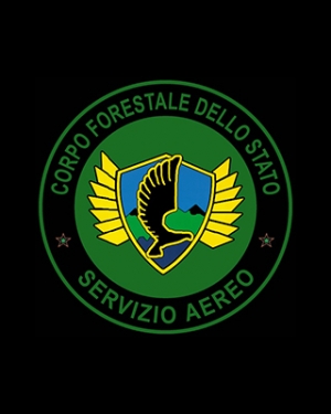 CFS - Servizio Aereo